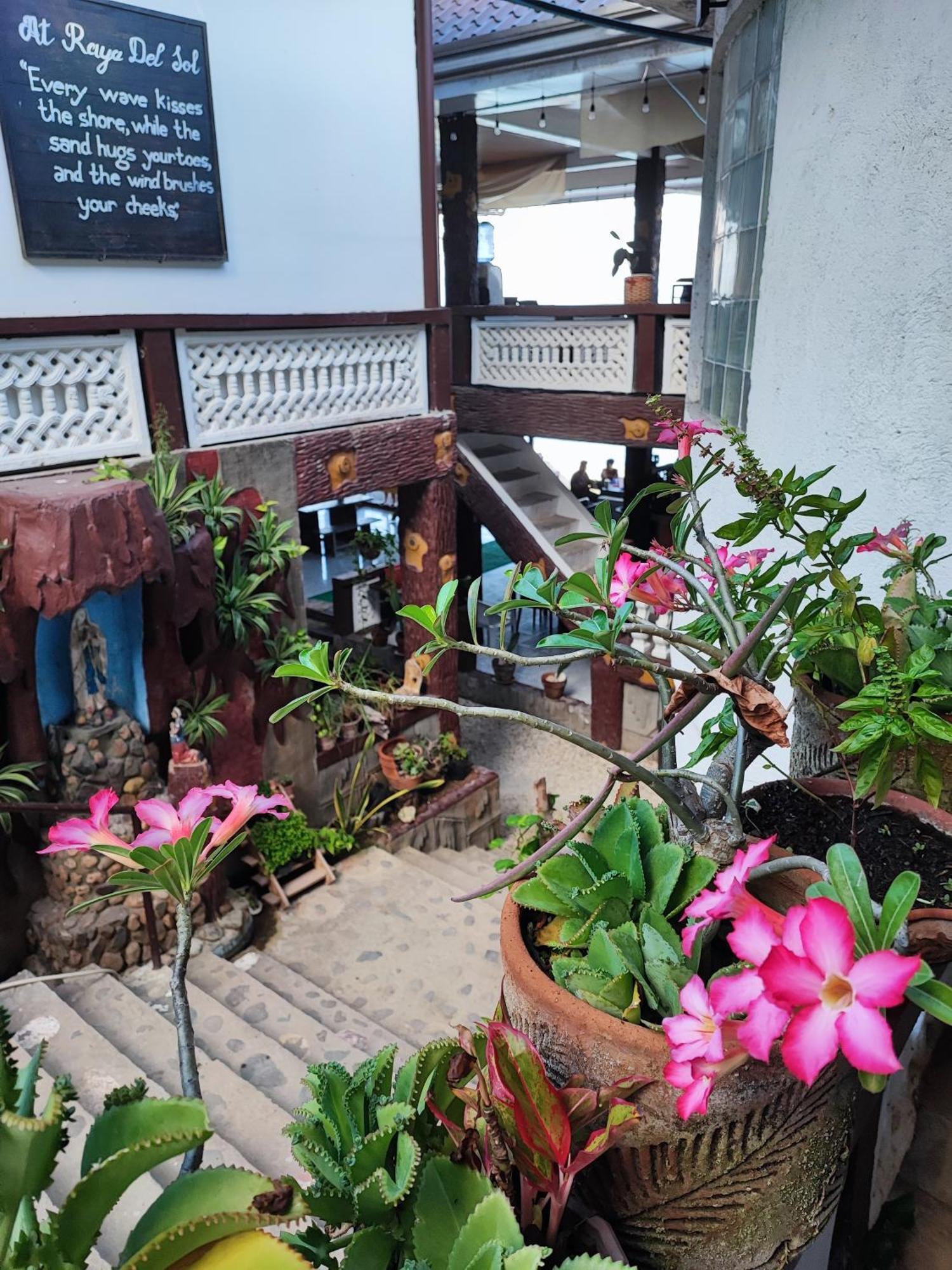 Raya Del Sol Dive Resort 马比尼 外观 照片
